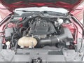 Photo 10 of 17 — 2019 Ford Mustang