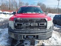 Photo 12 of 17 — 2009 Ford F-150