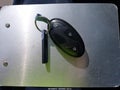 Photo 11 of 17 — 2025 Hyundai Elantra