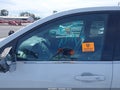 2020 Chevrolet Equinox — photo 12 of 21 | VIN 2GNAXKEV5L6150253