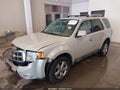 Photo 19 of 19 — 2009 Ford Escape