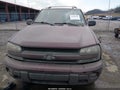 2004 Chevrolet Trailblazer — photo 12 of 16 | VIN 1GNDT13S842356788
