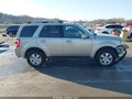 Photo 14 of 18 — 2011 Ford Escape