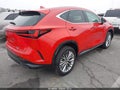 Photo 4 of 11 — 2025 Lexus NX 350h