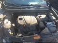 2013 Hyundai Sonata — photo 10 of 12 | VIN 5NPEB4AC2DH665667