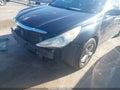 2013 Hyundai Sonata — photo 6 of 12 | VIN 5NPEB4AC2DH665667