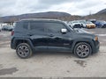 Photo 14 of 17 — 2015 Jeep Renegade