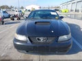 Photo 12 of 16 — 2002 Ford Mustang