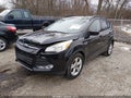 2014 Ford Escape — photo 2 of 12 | VIN 1FMCU0G95EUB30888