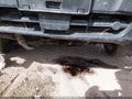 Photo 19 of 22 — 2025 Ford Transit-250