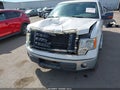 2010 Ford F-150 — photo 6 of 17 | VIN 1FTEX1C88AKB48556