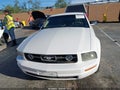 Photo 6 of 11 — 2006 Ford Mustang