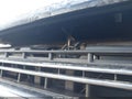 Photo 11 of 24 — 2021 Ford F-350
