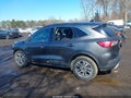 Photo 14 of 17 — 2020 Ford Escape