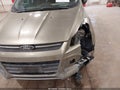 Photo 6 of 16 — 2013 Ford Escape