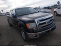 2013 Ford F-150 — photo 1 of 16 | VIN 1FTFW1CTXDFD70380