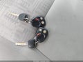 2005 Chevrolet Equinox — photo 11 of 11 | VIN 2CNDL13F856087512