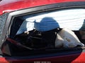 2007 Toyota Prius — photo 8 of 15 | VIN JTDKB20U077565495