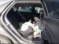 Photo 8 of 19 — 2022 Hyundai Elantra
