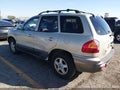 2003 Hyundai Santa Fe — photo 3 of 16 | VIN KM8SC13D53U432516