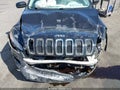 2016 Jeep Cherokee — photo 6 of 17 | VIN 1C4PJLCB9GW257787