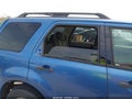 2009 Ford Escape — photo 6 of 11 | VIN 1FMCU03G89KA19290
