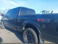 2015 Ford F-150 — photo 6 of 16 | VIN 1FTFW1EF5FFB09880
