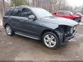 2013 Mercedes-Benz ML-Class — photo 1 of 17 | VIN 4JGDA5JBXDA244990