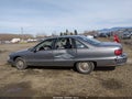 Photo 14 of 17 — 1991 Chevrolet Caprice