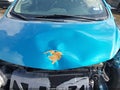 2014 Nissan Versa Note — photo 13 of 14 | VIN 3N1CE2CP6EL399691