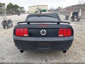Photo 16 of 16 — 2005 Ford Mustang