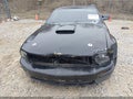 Photo 6 of 16 — 2005 Ford Mustang