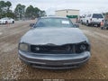 Photo 6 of 11 — 2006 Ford Mustang