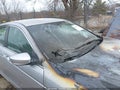 2010 Honda Accord — photo 15 of 15 | VIN 1HGCP2F37AA160878