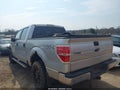 2010 Ford F-150 — photo 3 of 20 | VIN 1FTEW1E83AFC36746