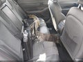 2024 Hyundai Sonata — photo 11 of 16 | VIN KMHL54JC3RA370750