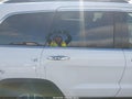 Photo 20 of 21 — 2021 Jeep Grand Cherokee