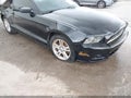 Photo 18 of 18 — 2014 Ford Mustang