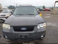 2007 Ford Escape — photo 6 of 11 | VIN 1FMCU03187KA41301