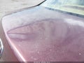 2008 Honda Accord — photo 12 of 13 | VIN JHMCP26778C006587
