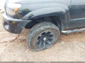 2007 Toyota Tacoma — photo 17 of 19 | VIN 5TETU62N87Z336454