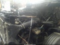 Photo 10 of 10 — 2009 Freightliner Cascadia 125