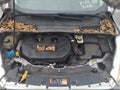2017 Ford Escape — photo 10 of 16 | VIN 1FMCU9G94HUA28510