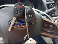2015 Subaru XV Crosstrek — photo 11 of 17 | VIN JF2GPADC4F8225179