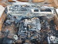 Photo 10 of 10 — 2004 Toyota Tacoma