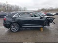 Photo 6 of 14 — 2025 Audi Q8