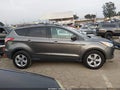 Photo 13 of 16 — 2013 Ford Escape