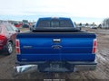 Photo 16 of 18 — 2011 Ford F-150