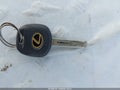 2002 Lexus RX 300 — photo 11 of 11 | VIN JTJHF10U920242327