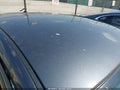 2016 Mazda 3 — photo 17 of 17 | VIN 3MZBM1K74GM270530